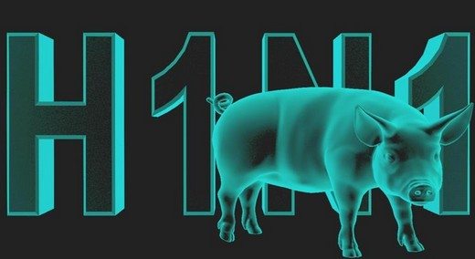 domuz giribi belirtileri