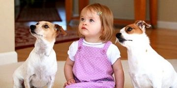 Evde hayvan beslemek çocuğun kişisel gelişimine katkı sağlıyor