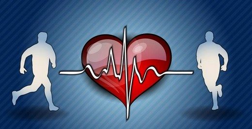 kalp sağlığı ve egzersiz makaleleri