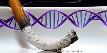 Sigara alışkanlığı ve genetik yatkınlık! Sigarayı bırakmak mümkün mü?