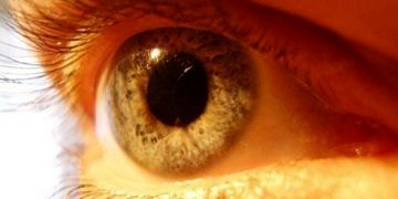 Sarı nokta hastalığı nedir? Belirtileri ve yarattığı riskler…