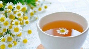 papatya çayının faydaları