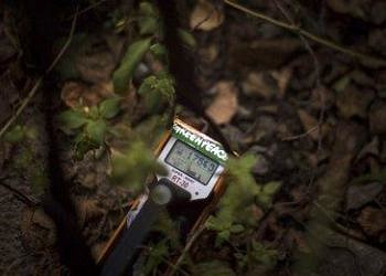 Çernobil’in izleri 30 yıl sonra hala geçmedi