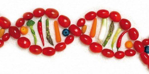 obezitenin-sorumlusu-genlermidir