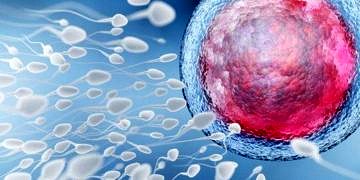 Bilim insanları ilk kez sperm hareketini arttıran molekülü tanımladı