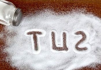 Tuzla gelen zararlardan küçük detaylarla korunun!