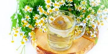 Mayıs papatyasının faydaları ve kullanım şekli