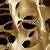 Kemiğimizdeki büyük risk: Osteoporoz nedir? Belirtileri ve tedavisi