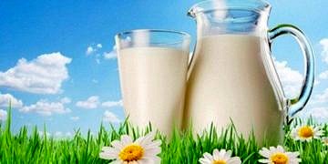 Süt ve süt ürünleri ile ilgili doğru bilinen yanlışlar