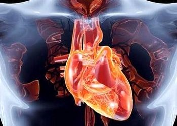 Aort diseksiyonu (yırtığı) nedir? Nedenleri, belirtileri ve tedavisi