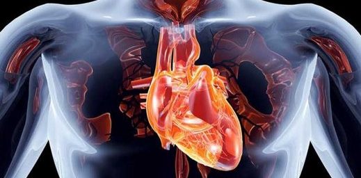 aort diseksiyonu yirtigi nedir nedenleri belirtileri ve tedavisi