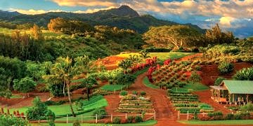 Deneysel ‘kent bahçesi’ kanserlilerin rekürrens ve hastalık riskini azaltıyor