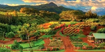 Deneysel ‘kent bahçesi’ kanserlilerin rekürrens ve hastalık riskini azaltıyor