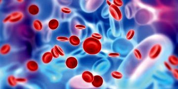 İmmünoterapi hematolojik kanserlerin tedavisinde başarıyı arttıracak