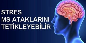Stres, MS (Multipl Skleroz) ataklarını tetikleyebilir