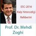 mehdi-zoghi-kapak