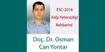 ESC 2016 Kılavuzu: Kafa karışıklığına karşı hedefe yönelik öneriler arttı