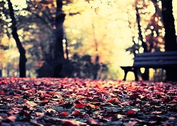 Sonbahar Depresyonunun belirtileri, tedavisi ve korunma yöntemleri