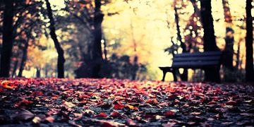 Sonbahar Depresyonunun belirtileri, tedavisi ve korunma yöntemleri