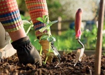 Hobi edinin, sabahları dinç kalkın