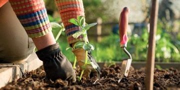 Hobi edinin, sabahları dinç kalkın