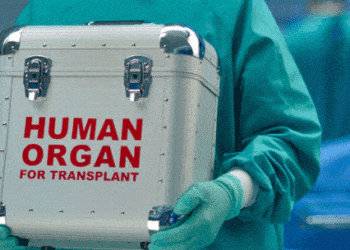 Organ naklinde çığır açacak yapay bir kan türü geliştirildi