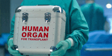 Organ naklinde çığır açacak yapay bir kan türü geliştirildi