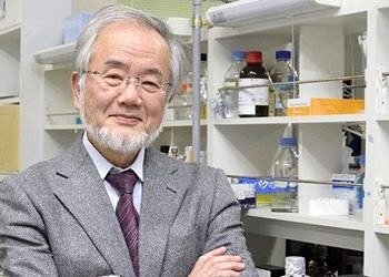 Nobel Tıp Ödülü’nü kanser alanındaki otofaji çalışmasıyla Japon Ohsumi kazandı