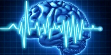 Sizi bağımlı hale getiren şey kendi ‘Beyniniz’den başkası değil