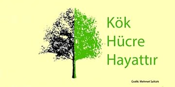 Körlük ve kök hücre tedavisi: Yeni geliştirilen yöntem körlüğe çare olabilir