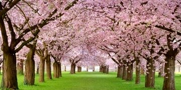 Mevsim değişimlerinin psikolojimiz üzerine etkileri