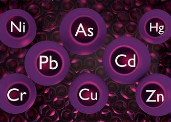 Sessiz katil, Ağır Metaller: Kurşun, civa, kadmiyum, arsenik, nikel ve alüminyum