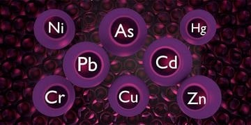 Sessiz katil, Ağır Metaller: Kurşun, civa, kadmiyum, arsenik, nikel ve alüminyum