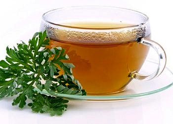 Sağlık bir hayat için bitki çayları tüketin: Zencefil, nane, papatya, rooibos çayları