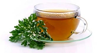 Sağlık bir hayat için bitki çayları tüketin: Zencefil, nane, papatya, rooibos çayları