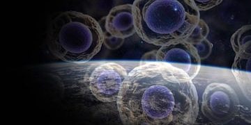 Ruslar kanseri yok eden bir ilacın denemesini uzayda başarıyla tamamladı