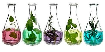 Hangi yağlar kilo vermeye yardım eder? Aspir, çörek otu ve rüşeym yağı