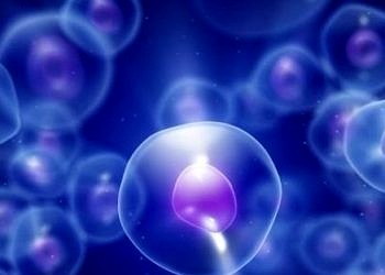 Kök hücreler yine başardı, omurilik felçlileri için umut kapısı aralandı