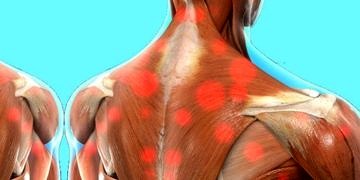 Fasya nedir, ne işe yarar?