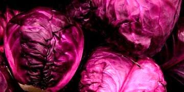 Mor lahana eczanedeki pek çok antioksidan vitaminden daha güçlü