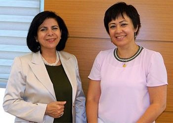 Prof. Dr. Öztürk: Türkiye genelinde çok sayıda yeni inme merkezleri kurulacak