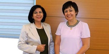 Prof. Dr. Öztürk: Türkiye genelinde çok sayıda yeni inme merkezleri kurulacak