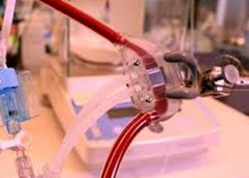 Canlı böbrek hücreleri ve mikroçiplerle yapay böbrek geliştirildi