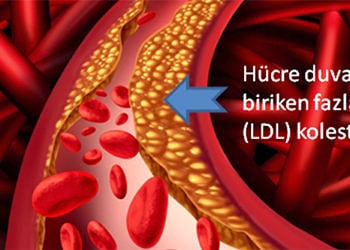 Kolesterol vücutta ne işe yarar? Ne zaman tehlike arz eder? 