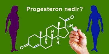 Progesteron nedir? Gebelikte yükselmesi veya düşmesi tehlikeli midir?
