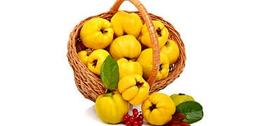 Kış aylarının sağlık deposu: Ayva neye iyi gelir? Ayvanın faydaları