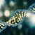 Hücrelerde DNA'nın yeni bir yapısı keşfedildi