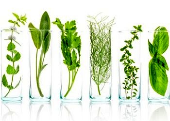 “Bitkisel” deyip kafanıza göre kullanmayın