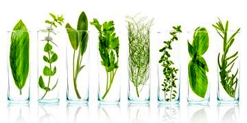 “Bitkisel” deyip kafanıza göre kullanmayın