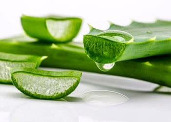 Aloe vera nasıl kullanılır? Sağlık ve cilt için faydaları nelerdir?